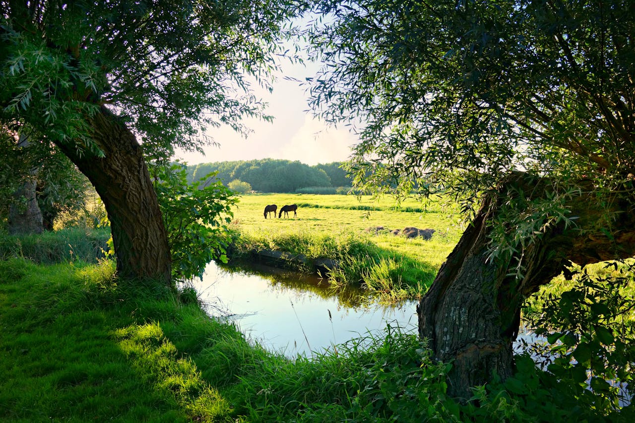 Zin om op vakantie te gaan in Drenthe Dit is zijn absolute aanraders!